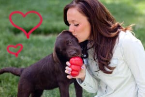 St Louis Dog Training