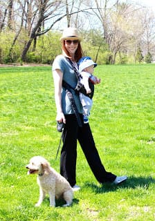 St Louis Dog Training