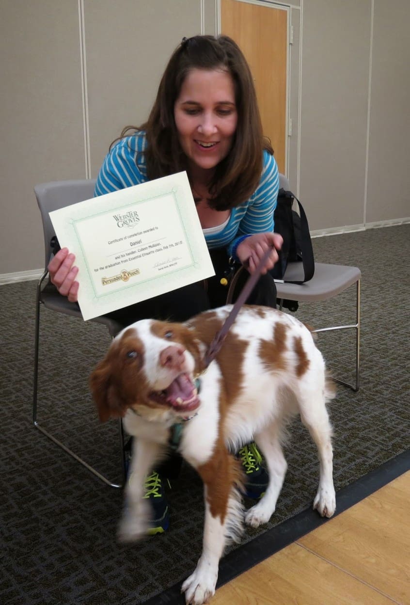 St Louis Dog Training Dog Walking