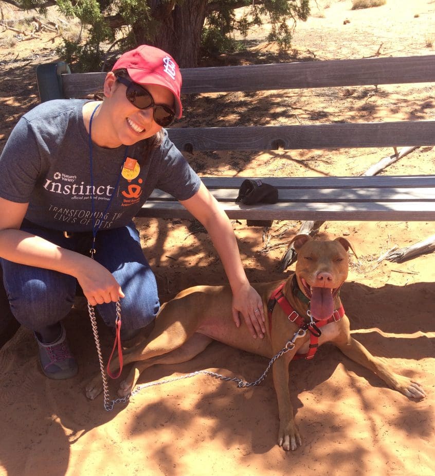 St Louis Dog Training Dog Walking