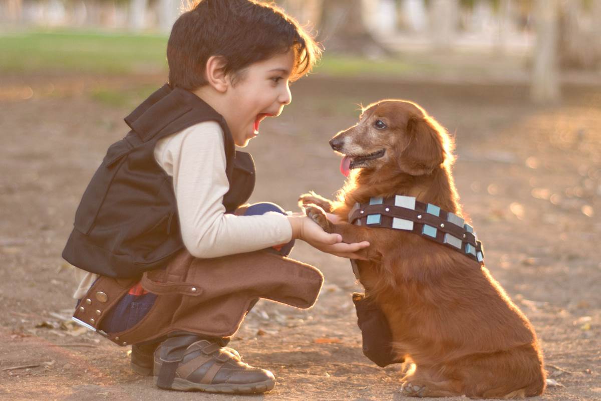 Keeping Kids Safe Around Dogs | St Louis Dog Trainer