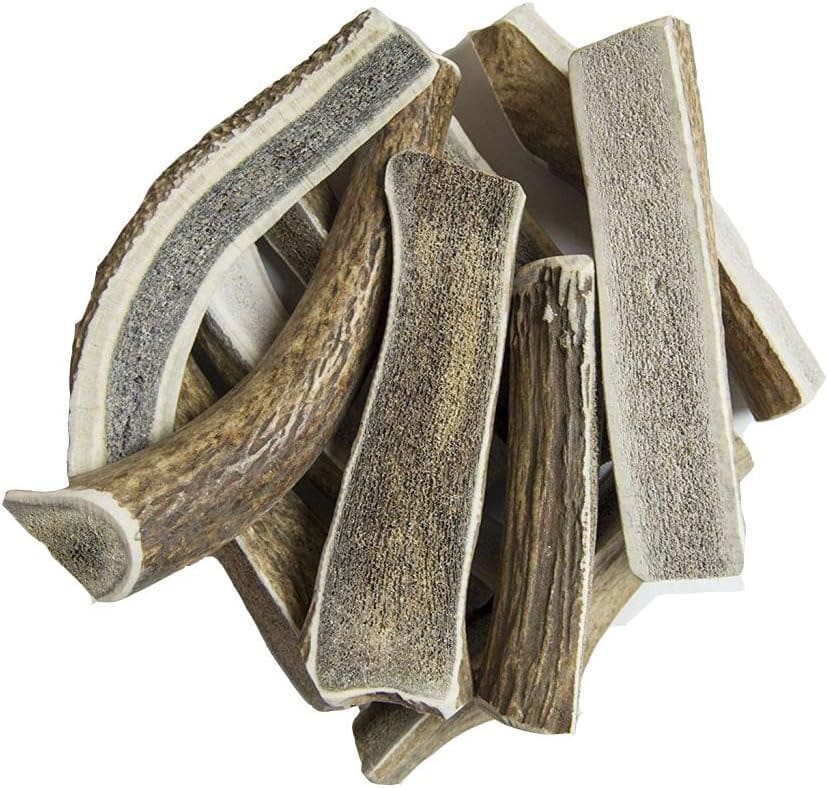 Elk Antler Chew