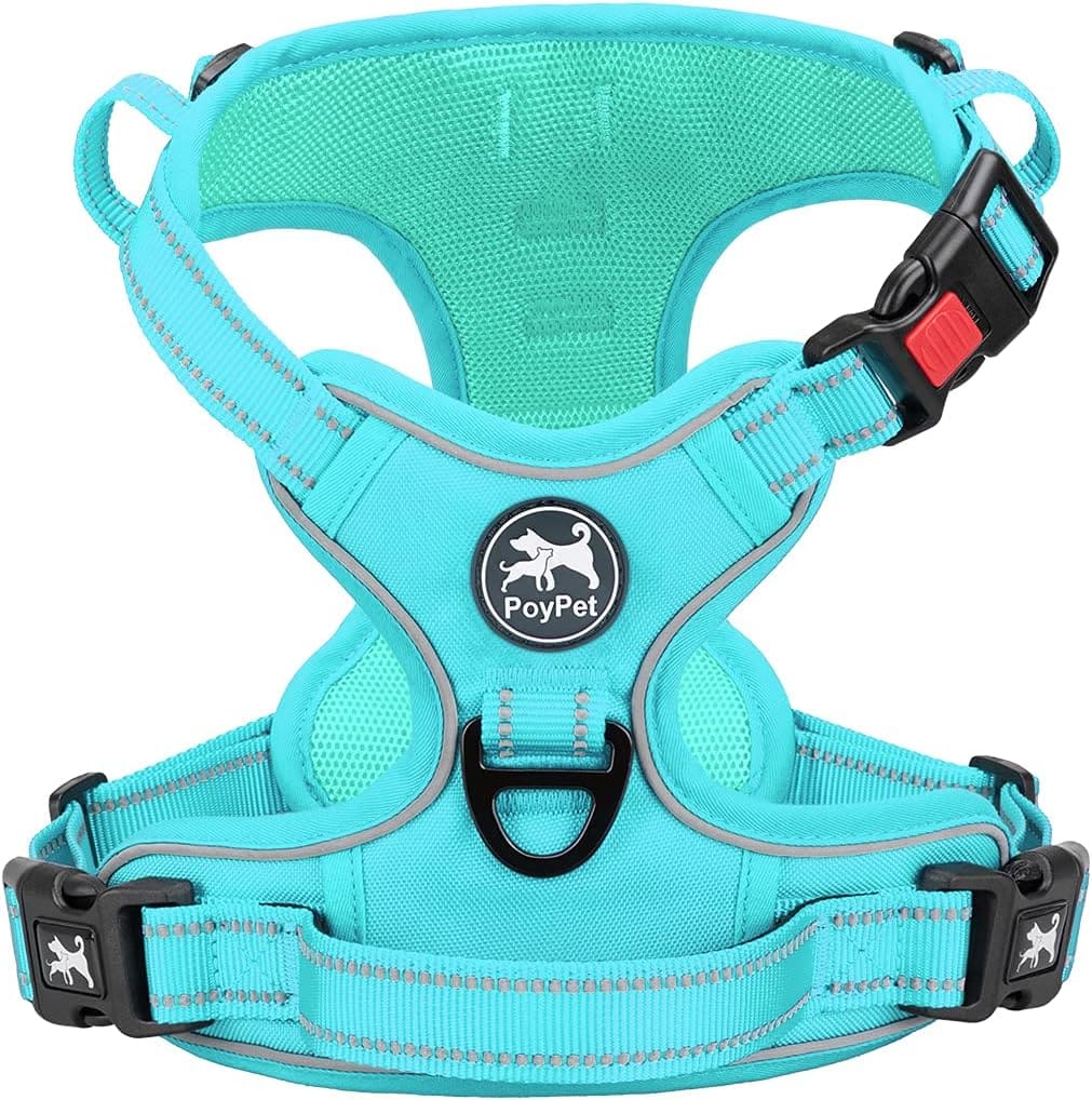 Harness – PoyPet Small Dog