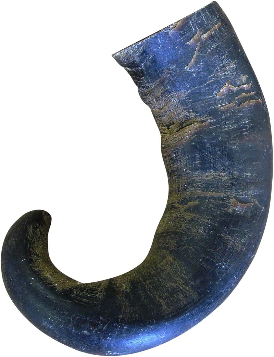 Buffalo Horn Chew