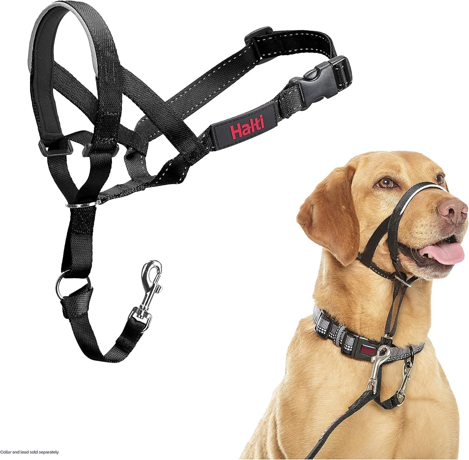 Head Collar – HALTI