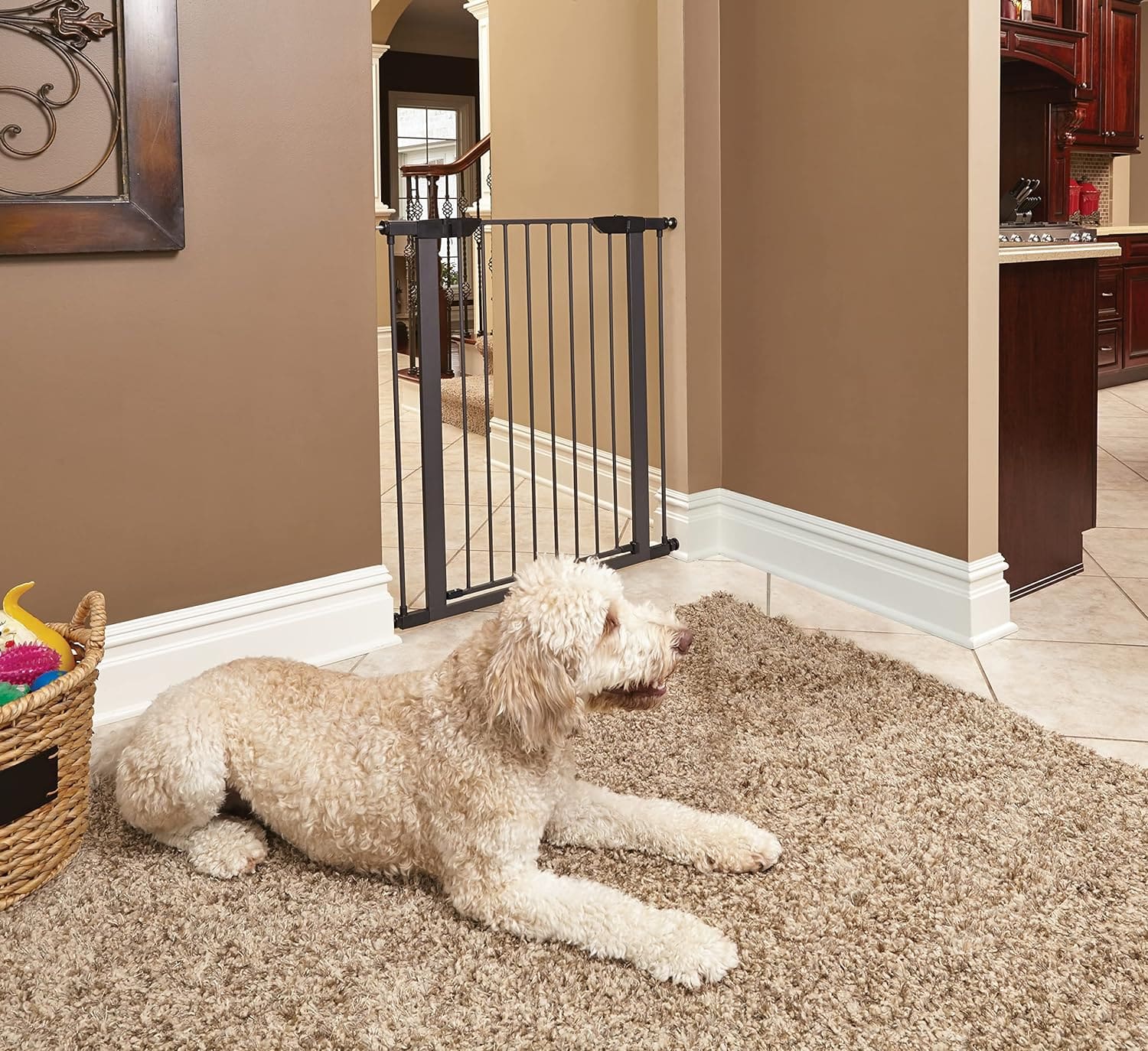 Walk-Thru Pet Gate