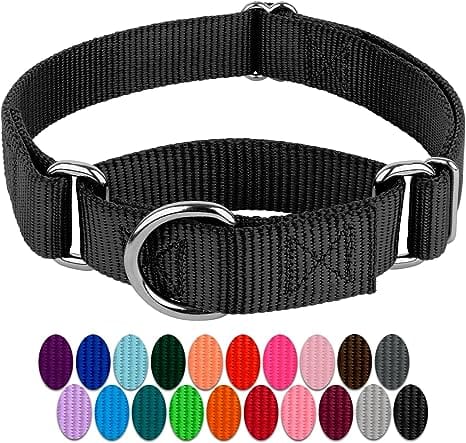 Martingale Collar