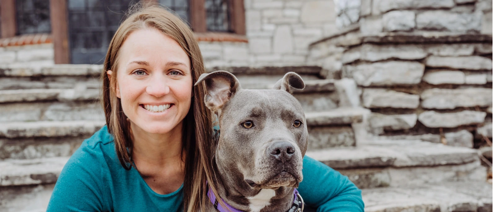 St Louis MO Dog Training Puppy Training Classes