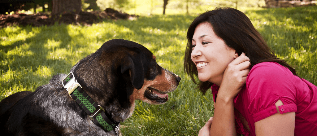 St Louis MO Dog Training and Dog Training Classes