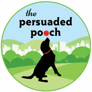 St Louis MO Dog Training and Dog Training Classes