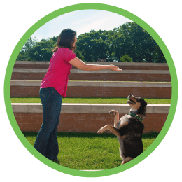 St Louis MO Dog Training Puppy Training Classes
