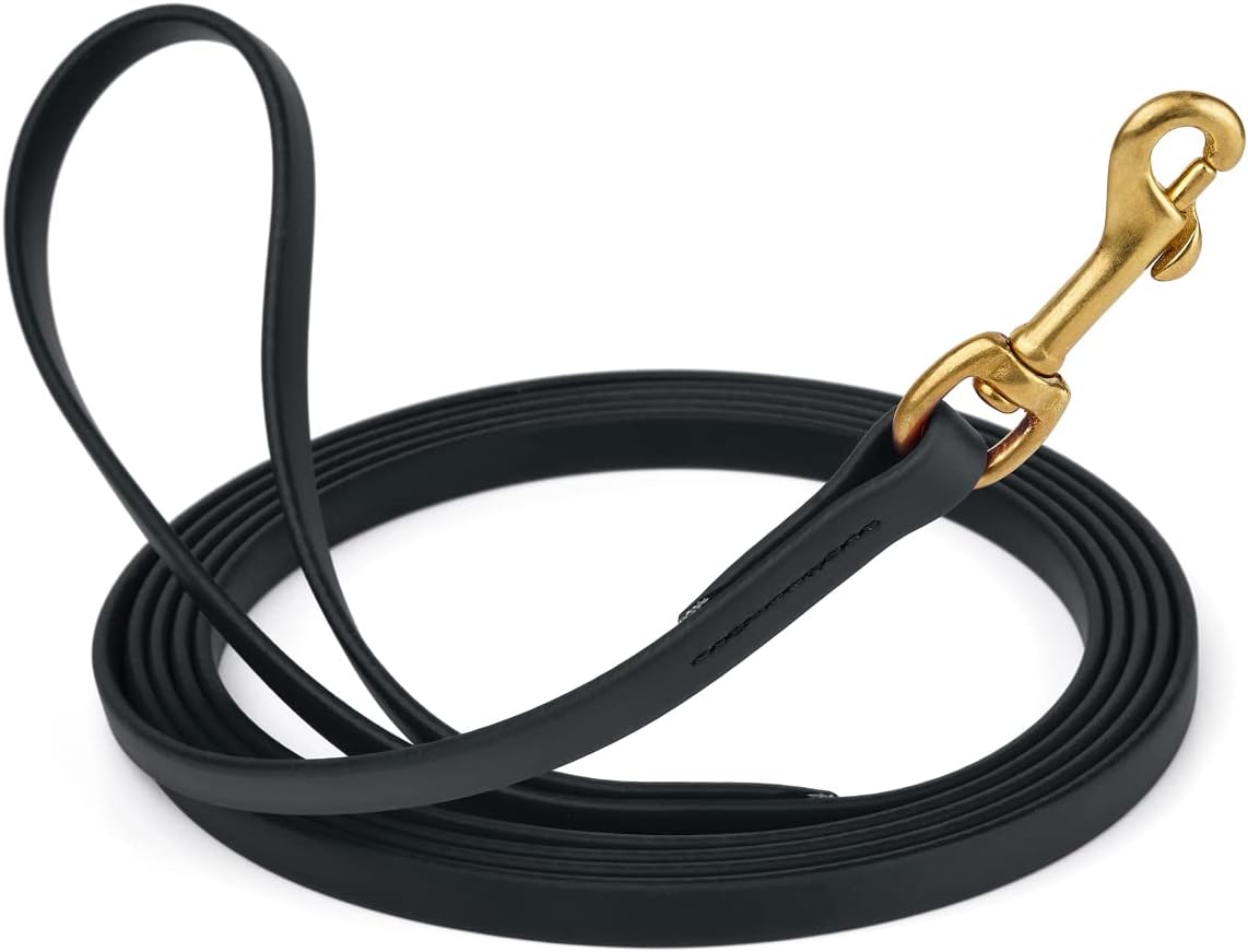 15′ Biothane Leash