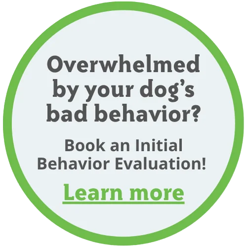 St Louis MO Dog Training and Dog Training Classes